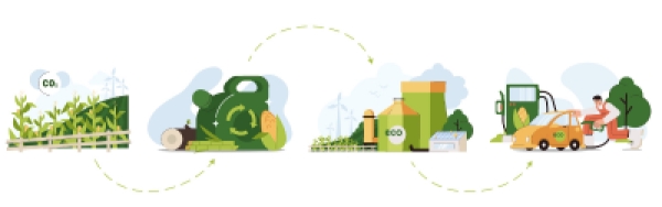 Rewizja ISO 14001:2026 &ndash; jak zmieni się zarządzanie środowiskowe w organizacjach?