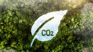 Ślad węglowy przedsiębiorstwa w zakresie 1,2,3, produktu oraz ocena ryzyk i szans klimatycznych