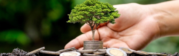 Rusza nabór wniosków o dofinansowanie szkoleń z KFS na 2025 rok